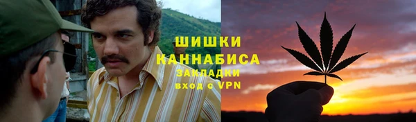 гидропоника Ельня
