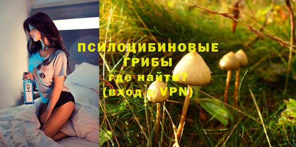 a pvp Елабуга